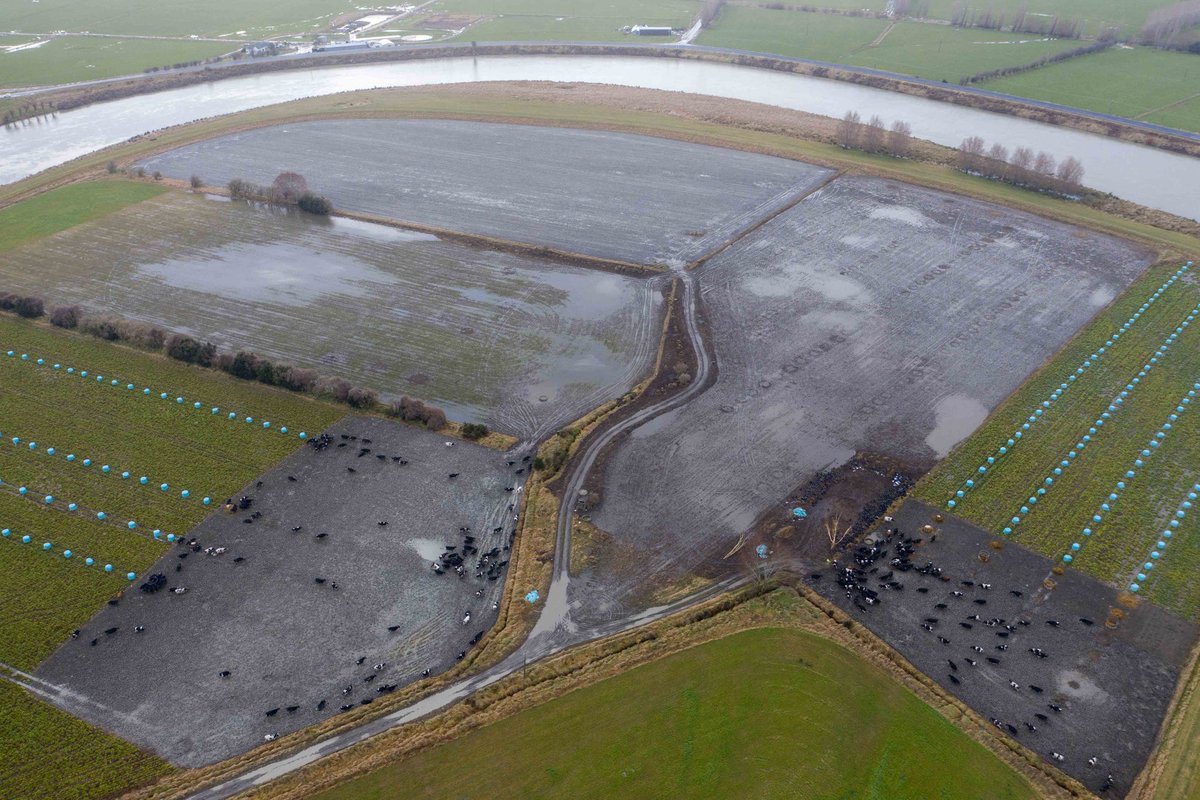 Geoff Reid tweet media