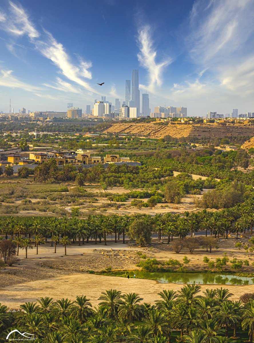 بأهلها ونخيلها .. #الرياض حلوة 

#الرياض_الخضراء 💚