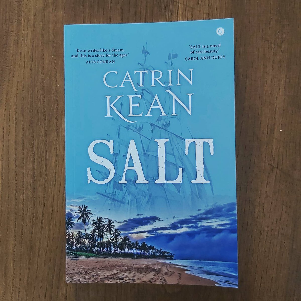 'Salt' is set in Cardiff, 1878 and deals with the hardships of working class life and racism. It is also based on the lives of Kean's great-grandparents. It is their love story. Gomer@YLolfa @Books_Wales @LlenCymru @kean_catrin #WBOTY21 #shortlist #HistoricalFiction