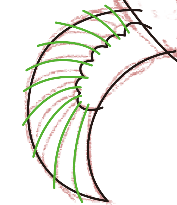 鳥の羽のtwitterイラスト検索結果 古い順