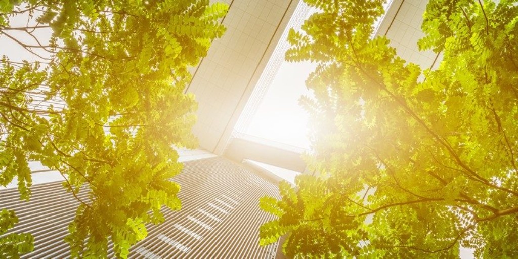 The built environment contributes around 40% of the total #carbonfootprint within the UK, and we’re on a mission to reduce this figure. In line with RIBA’s 2030 Climate Challenge, we can help architects achieve #netzero carbon in the buildings they design. biocarbonlaminates.com/supporting-the…