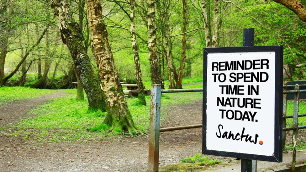 Sanctus Coaching & Mentoring tweet media