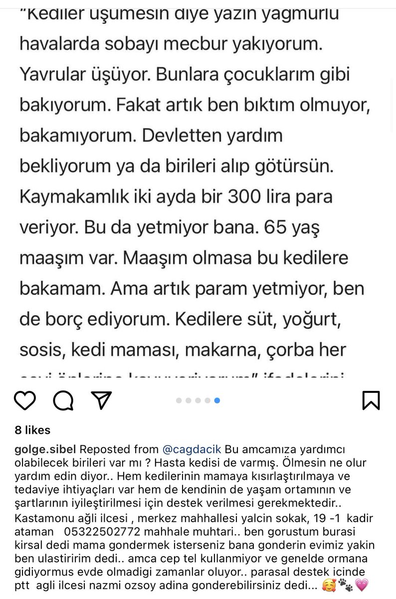 Bu amca kedilere artık bakamadığı İçin yardım bekliyormuş. Lütfen o canlara belediye el koymadan destek olalım amcamıza lütfen 🙏🏻 detaylar diğer fotoğrafın altında açıklamada yazıyor. İhbar eden instagram hesabı @cagdacik