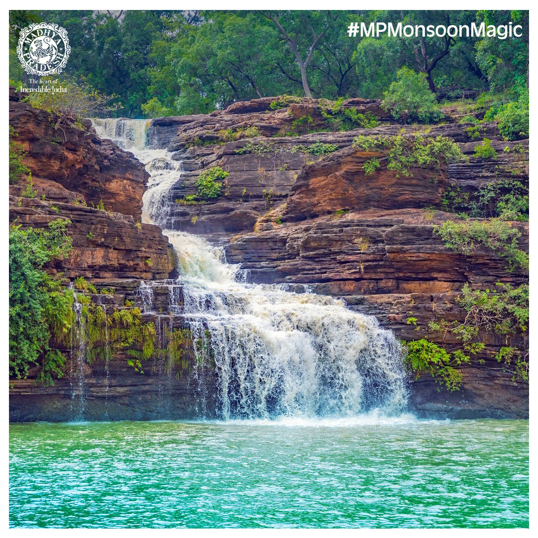 MPTourism's tweet photo. Waterfalls in monsoon are in their most astonishing form. Visit to one such natural wonder, Pandav Falls at Panna and level up your monsoon vibes.
Know more: https://t.co/gapYR8jjx9
#MPMonsoonMagic #MPTourism #DekhoApnaPradesh #IntezaarAapka #MadhyaPradesh #HeartOfIndia https://t.co/KTfwl2uhbO