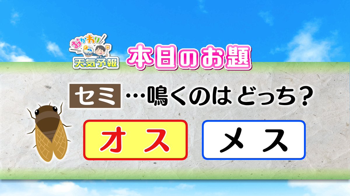5時スタ テレビ愛知 報道情報部 S Tweet おかわり天気予報 セミが鳴き始めて夏本番が近いですね セミは鳴くのはオスだけ 求愛行動として鳴くそうです オスのお腹は空洞で 発音筋と発音膜で音を出し 共鳴室で響かせているとか 5時スタ 気象予報士 上野高明