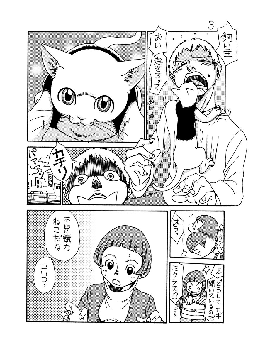 ミラクルキャット1/3 
#のんた丸 