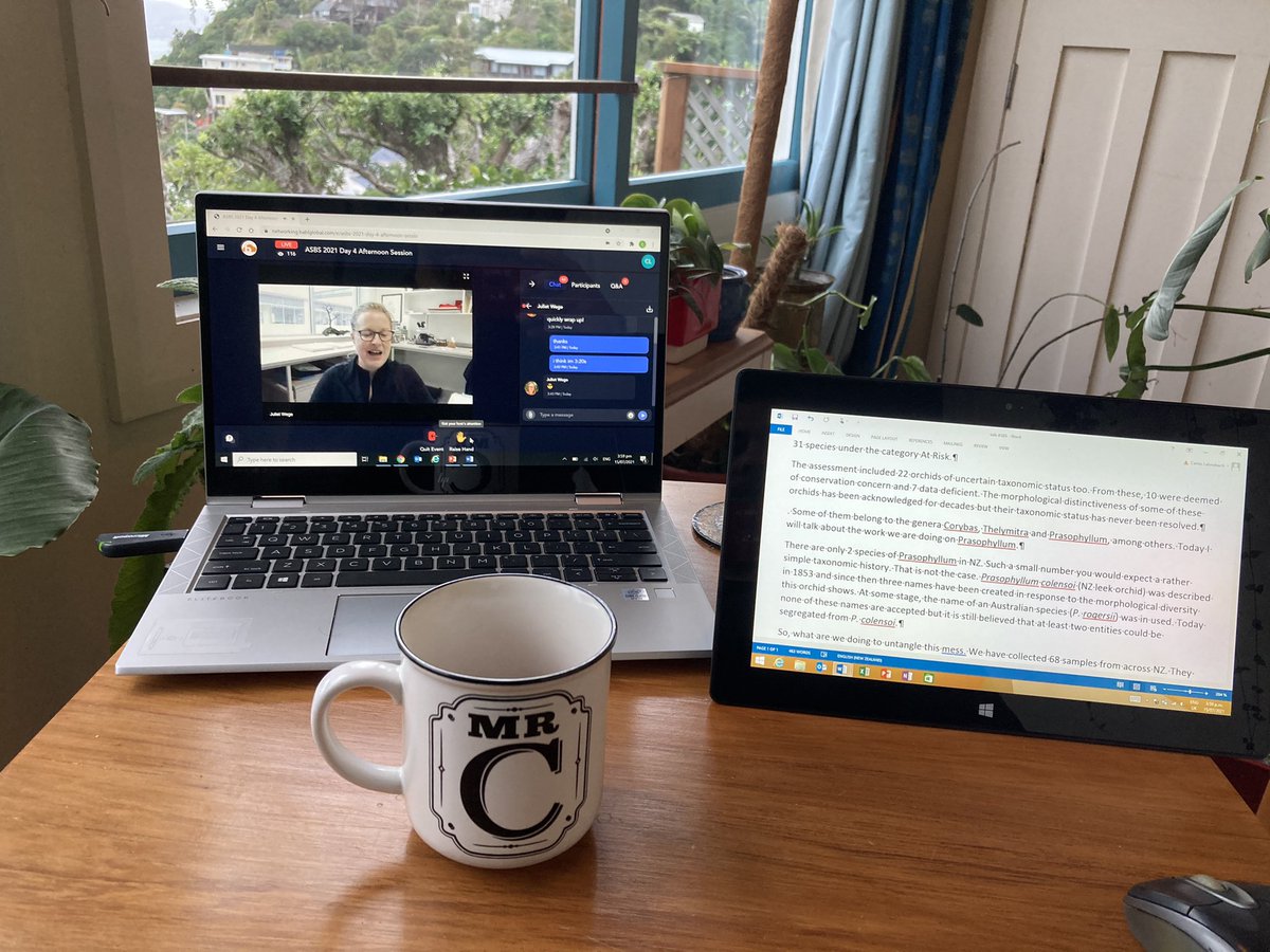 Botany Curator tweet media