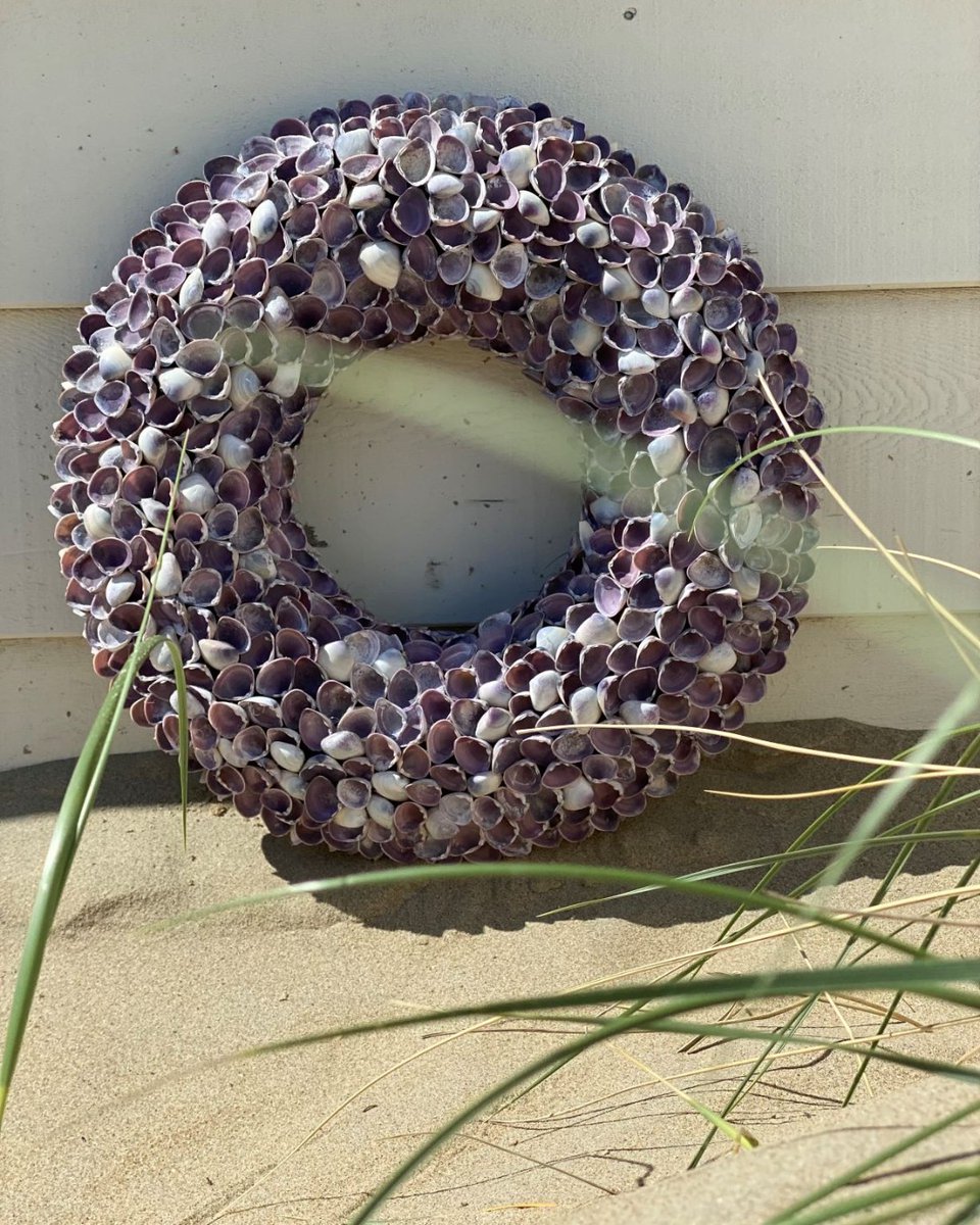 Bezoek snel onze webshop voor deze chille schelpenkransen! Beschikbaar in verschillende maten en uitvoeringen. 
.
#schelpenbol #schelpenkrans #strandstijl #beachy #beachhouse #summervibes #strandpaviljoen #shells #zomer2021 #noordwijkaanzee