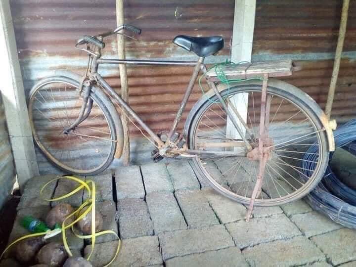 මේ ඉන්නෙ තවත් එක් "කාලක$&amp; යැයි සම්මත ගුරුවරයෙක්

2018 ලංකාවේ හොඳම ගුරුවරයා සම්මානය
2019 අවංකකම රාජ්‍ය සේවකයන් දසදෙනා නියෝජනය
2021 ආසියාවේ හොඳම  ගුරුවරයා සම්මානය  
අසිත් මුතු කුමාර

Always respect ✊ you Asi 🥰😍