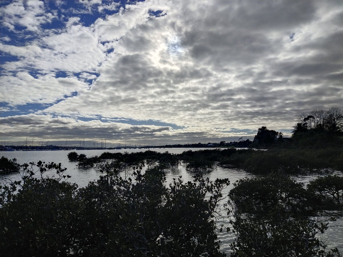 花满渚，酒盈瓯，万顷波中得自由。——李煜