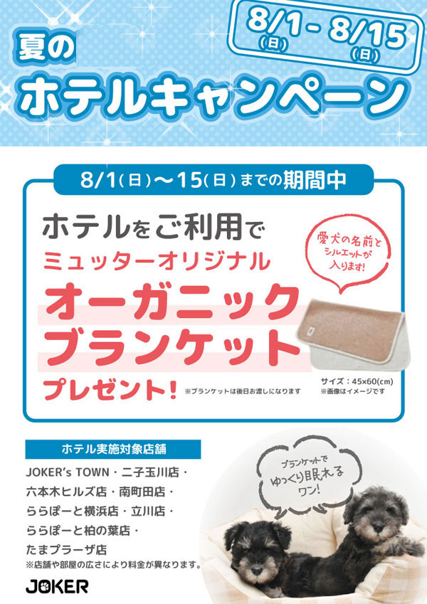 ペットショップジョーカー Dogcatjoker Twitter ペットショップジョーカー Dogcatjoker Twitter