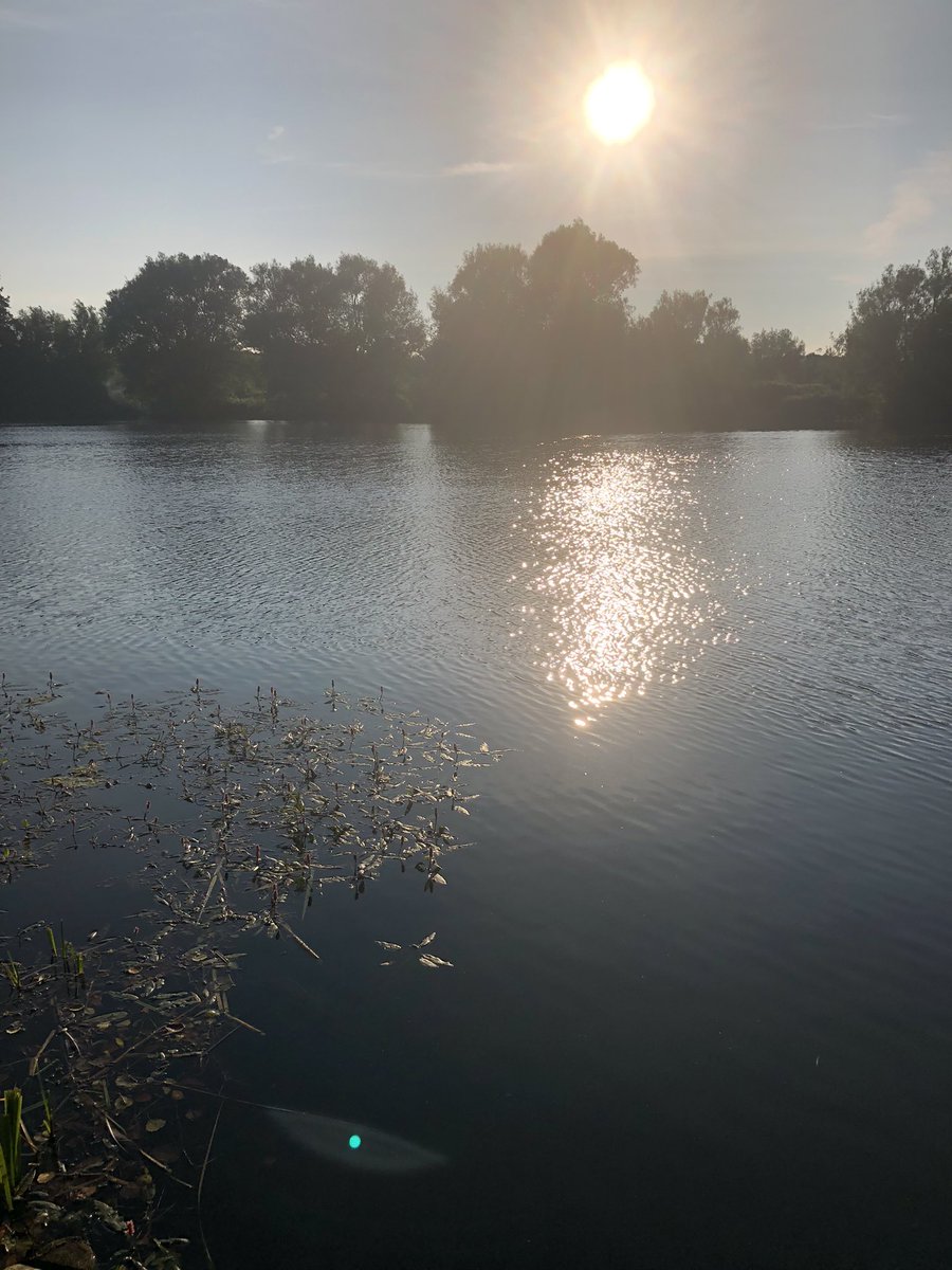 cazababe75's tweet photo. Beautiful evening walk. So lucky to have this on our doorstep #norfolklife https://t.co/RBMJhtpsjI