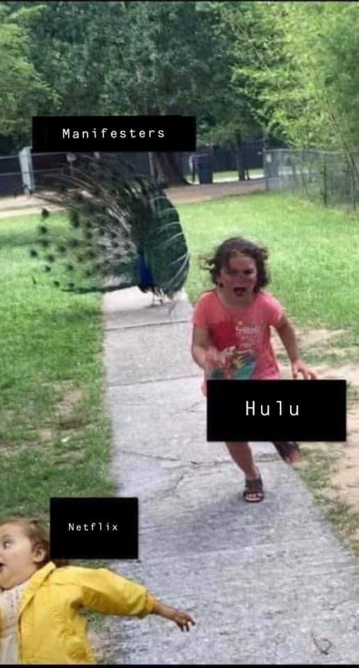 Rima Manifester ✈️🦆🦢🛶 🍳 ✨ 🔨 ManibestiesStan tweet media