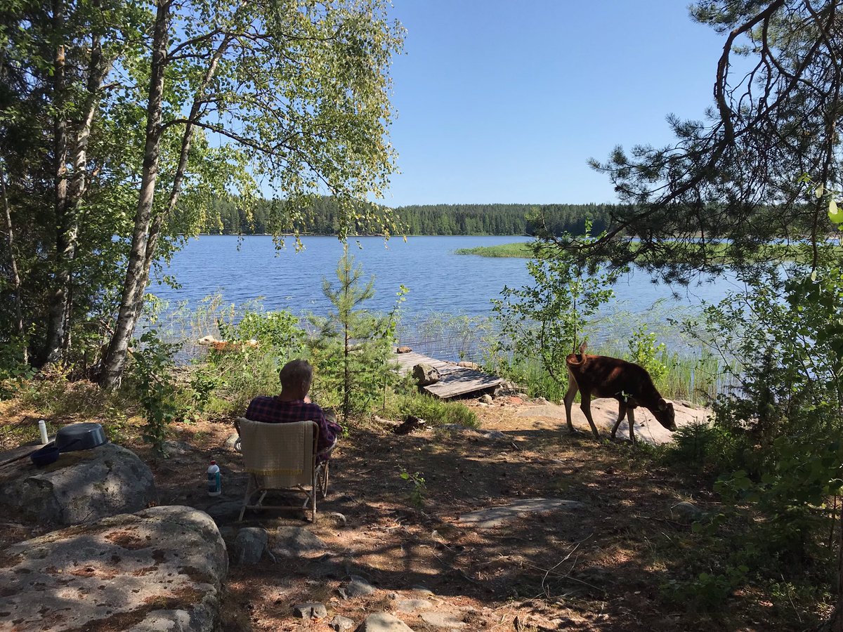 Haapamasa's tweet photo. Jos ei #Tolppa tänäänkään pysy aidassa eikä puolisonkaan kutsuhuuto auta, naulataan rantakoivuun semmoinen Vilma Jään opeilla tehty graafinen kestoon perustuva notaatio karjankutsusta että uskoo kerrasta. Kiitos @hsfi kovapäisen kansan sivistämisestä! https://t.co/GvRzKQgi7b