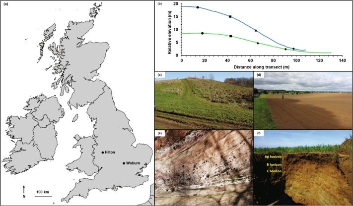 New in Geoderma: "How the composition of sandstone matrices affects rates of soil formation" by DL Evans, JN Quinton, AM Tye, Á Rodés, JC Rushton, JAC Davies and SM Mudd. buff.ly/3i4wqYd.
<a href="/LancasterUni/">Lancaster University</a> <a href="/CranfieldUni/">Cranfield University</a> <a href="/BritGeoSurvey/">British Geological Survey</a> <a href="/SUERC1/">SUERC</a> <a href="/uniofedinburgh/">Edinburgh University</a>
<a href="/DanEvansol/">Dan Evans</a>