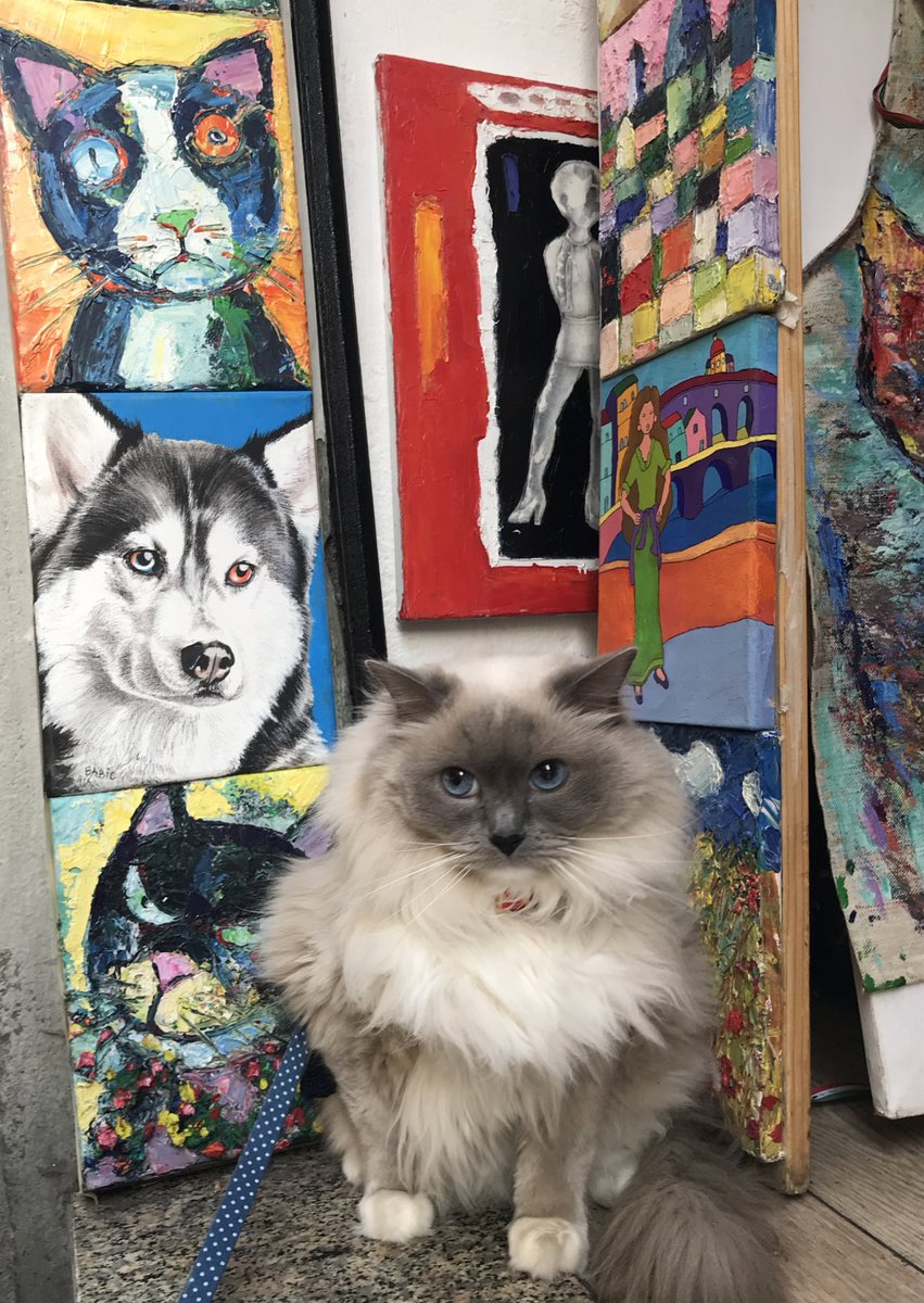 Pinte-me como um dos seus gatos franceses JACK