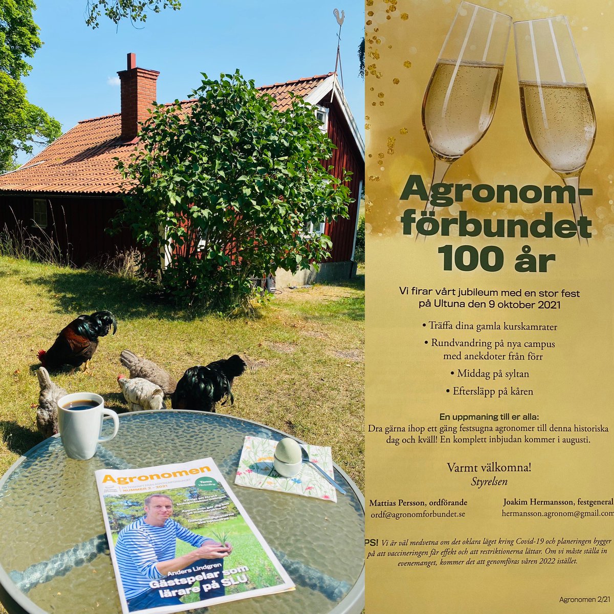 100-årsjubileum!
Nytt nr av tidningen Agronomen är ute!En perfekt start på en semesterdag! 

<a href="/Agronomforbundt/">Agronomförbundet</a> fyller 100 år &amp; jag har äran att få vara ordförande för detta anrika förbund. Detta ska firas lördagen den 9 okt!!!

SLU - Sveriges lantbruksuniversitet #ultuna #agronom