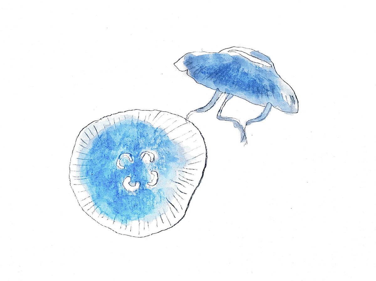 Twoucan 海月 の注目ツイート イラスト マンガ コスプレ モデル