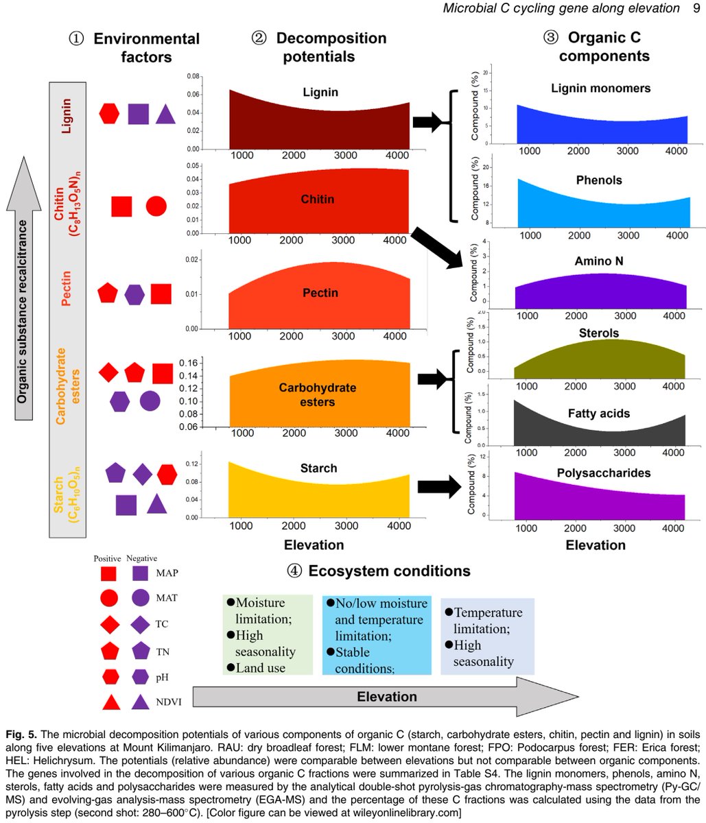 ykuzyakov's tweet image. New in Environmental Microbiology @EMicrobiology:
#Metagenom of #soil #microbialcommunities
involved in #carbon cycling along elevation
of #Kilimanjaro
doi.org/10.1111/1462-2…