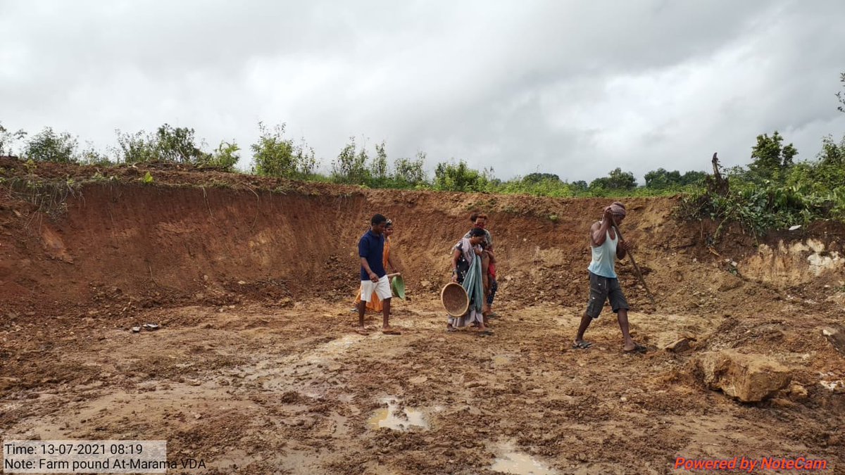 PlusPsu's tweet photo. Sight of ongoing Farm Pond under #MGNREGA at Village-Morama of Gunupur Block promoted by OTELP Plus, ITDA-Gunupur, Dist-Rayagada @stscdev @MoSarkar5T @PRDeptOdisha @arthanari_ifs @RayagadaO https://t.co/eQeH3sRMD5