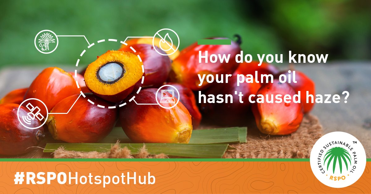 Forests🌳play important roles in our ecosystem. They:
🍇Supply food to communities
🐯Act as habitats for wildlife
🌫️Absorb 1/3 of our carbon emissions
 
The #RSPOHotspotHub strengthens local fire prevention efforts for #ZeroDeforestation.

Take a look 👉: rspo.org/hotspot-hub