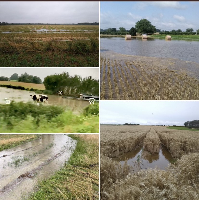 Les promesses <a href="/EmmanuelMacron/">Emmanuel Macron</a> <a href="/JeanCASTEX/">Jean Castex</a> doivent être tenues:  «Nos #agriculteurs ne peuvent payer seuls l’ #assurance Il faudra un financement public pr créer un système totalement neuf. On ne peut pas dire que la nation veut être souveraine…si on ne résiste pas au #climat »