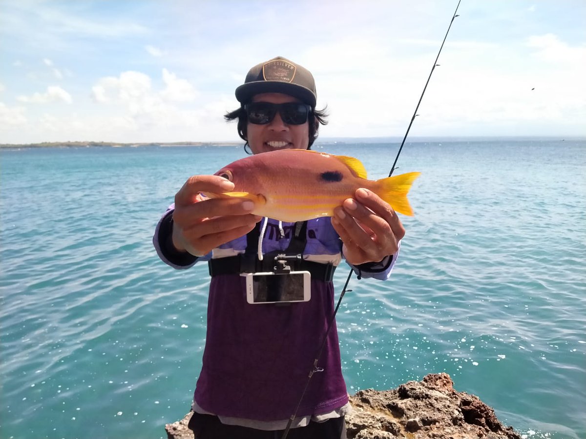 Lombokfish's tweet photo. a little happy https://t.co/PBy14RvFk3