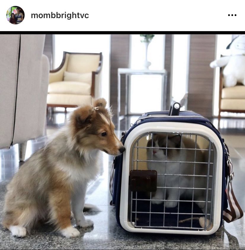 maswettiemtw's tweet image. 🌚🌝