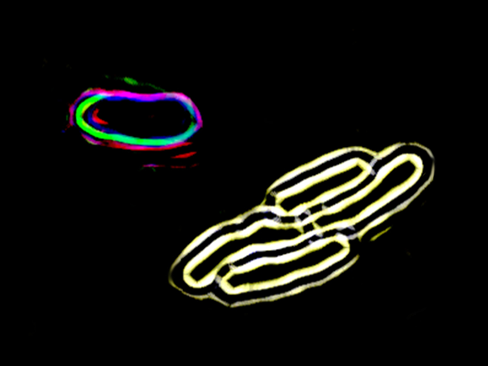 Thomas Julou (@thomasjulou) on Twitter photo Excellent news this morning 🤩
Our workshop <a href="/KITP_UCSB/">Kavli Institute for Theoretical Physics</a> on *quantitative biology of non-growing microbes*, co-organized with Nathalie Balaban and Roberto Kolter is approved. Join us for 3 weeks of exciting talks and brainstorming (Oct 10-27th 2022)! kitp.ucsb.edu/activities/mic… 1/2 Excellent news this morning 🤩
Our workshop <a href="/KITP_UCSB/">Kavli Institute for Theoretical Physics</a> on *quantitative biology of non-growing microbes*, co-organized with Nathalie Balaban and Roberto Kolter is approved. Join us for 3 weeks of exciting talks and brainstorming (Oct 10-27th 2022)! kitp.ucsb.edu/activities/mic… 1/2
