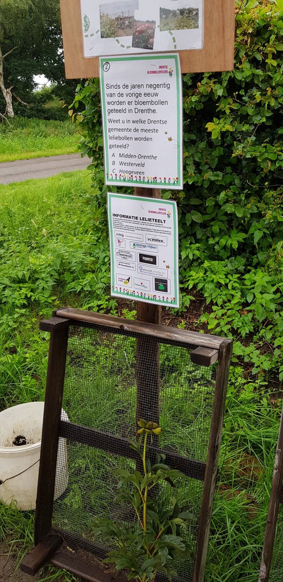 Fiets4daagse. We zijn er klaar voor. Bij <a href="/MtsJoling/">joling bv</a> 
#informatie #lelieteelt