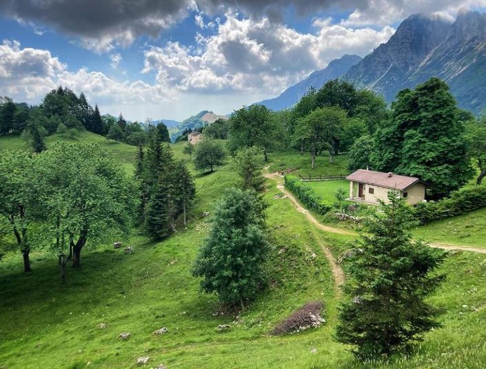 Passeggia lungo il Sentiero dei Grandi Alberi a #RecoaroMille. Un’escursione tra verdi giganti risalenti a secoli e secoli fa 🌲#PiccoleDolomiti #Vicenza

bit.ly/36zmtwt

#VisitVeneto

📸 IG matofaungato