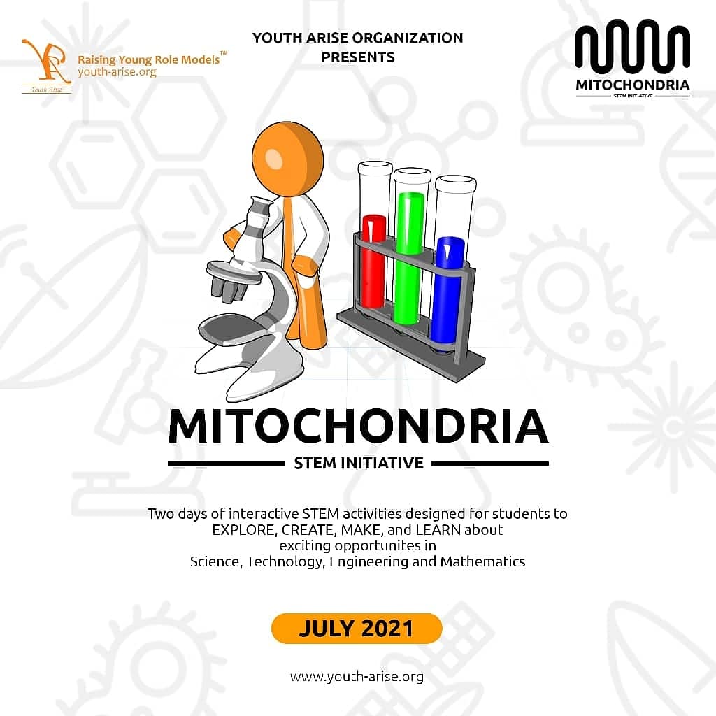 MITOCHONDRIA; Phase 2; 
The STEM team is back again in Hallmark International School for two days of great activities, presentations and project building from the #NovelEngineering concept.
#thefutureisforthecurious
#ifyoucanthinkityoucandoit
#Mitochondria
#STEM 
#YAO