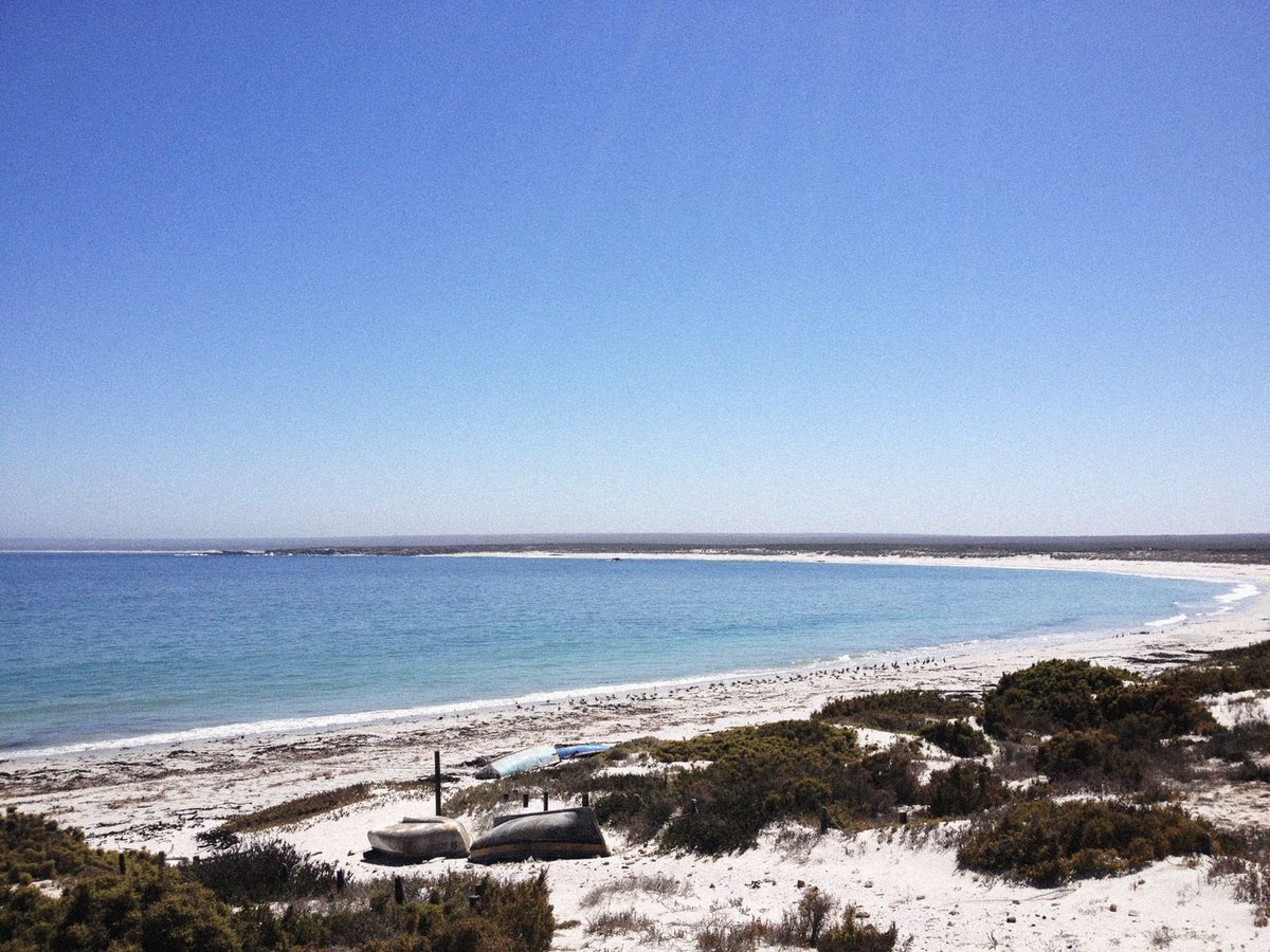 Waar ons eerder wil wees.

Where we’d rather be.

#donkiesbaai #weskus #westcoast