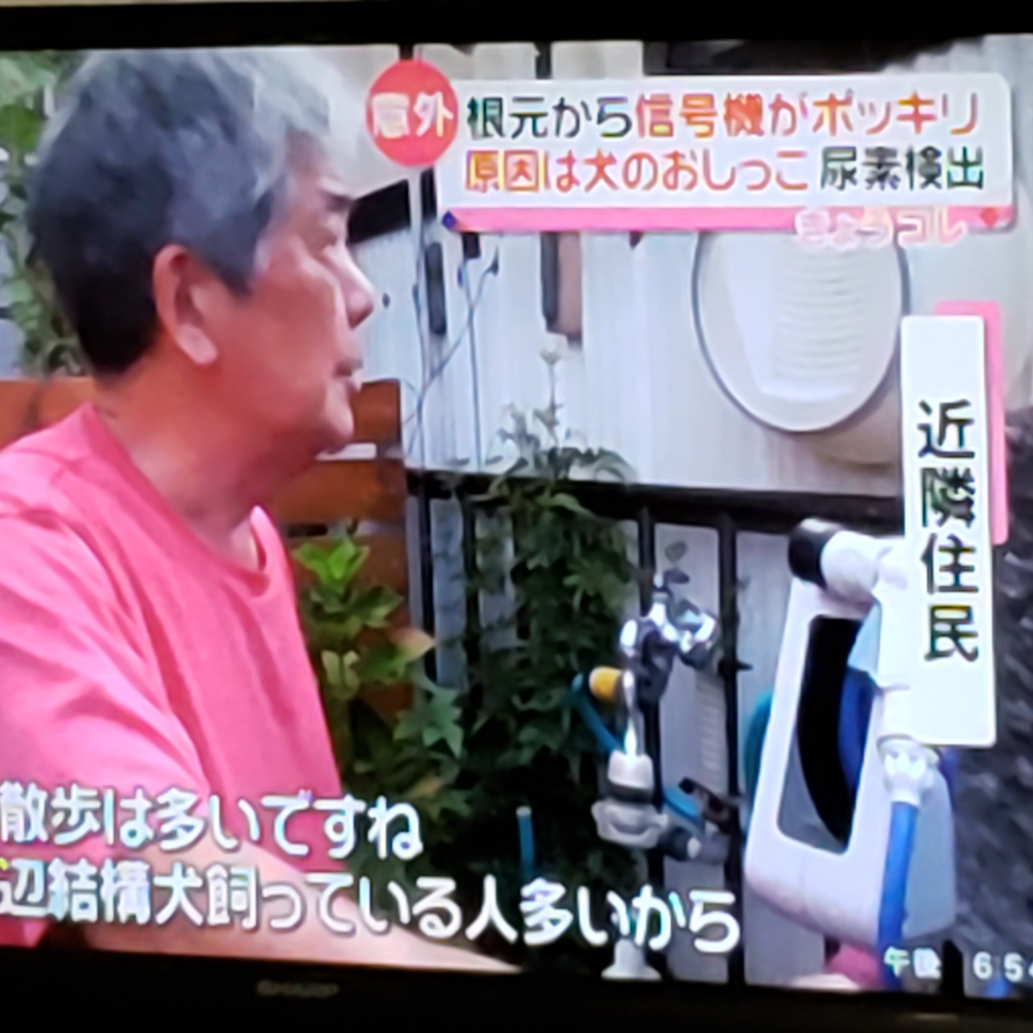 犬のおしっこ Twitter Search Twitter