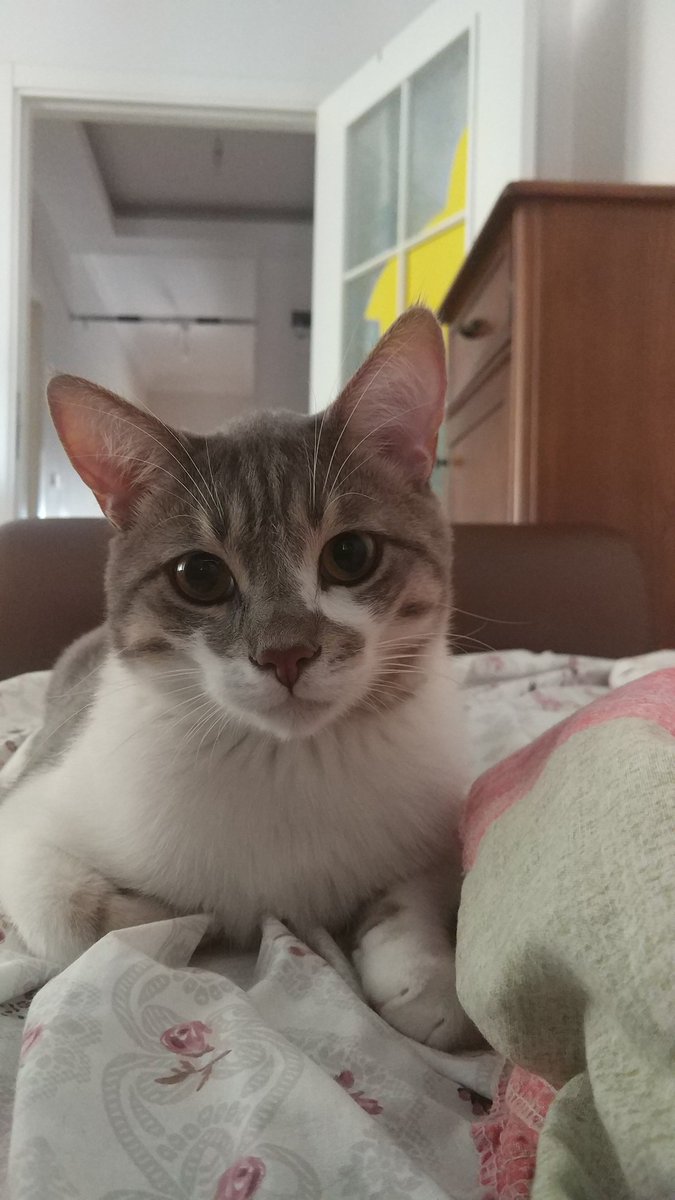 #KabulEtmiyoruzVazgecmiyoruz