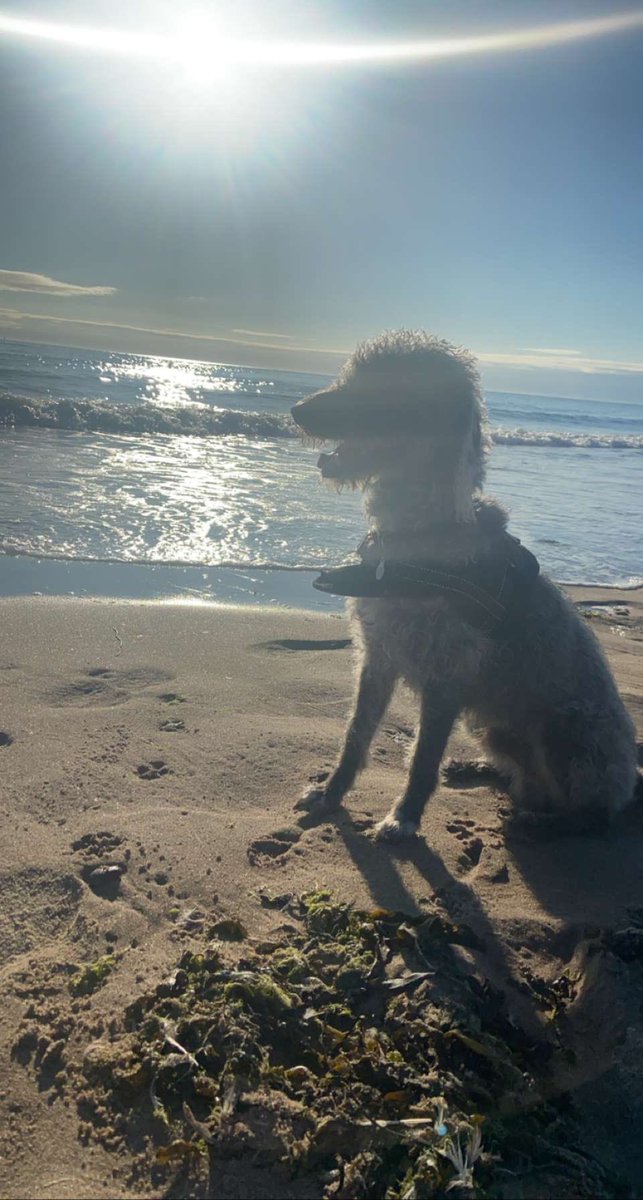 7am beach walks ☀️ 🌊