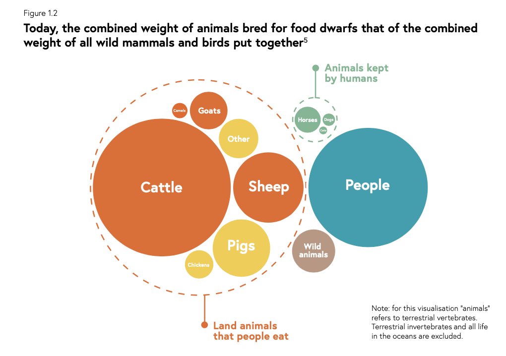 DLClough's tweet photo. Here’s my new favourite graphic to show the impact of our consumption of animals on fellow creatures, from p. 16 of the @food_strategy, published today. Can you spot the wild animals? Your organization can be part of the solution by going @defaultveg #NationalFoodStrategy https://t.co/GFFOAxvMyF