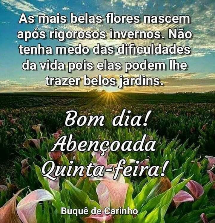 SAMPAIO🇧🇷🇧🇷🇧🇷BOLSONARO CAPITÃO DO POVO - 22's tweet - SAMPAIO🇧🇷🇧🇷🇧🇷BOLSONARO CAPITÃO DO POVO - 22's tweet -