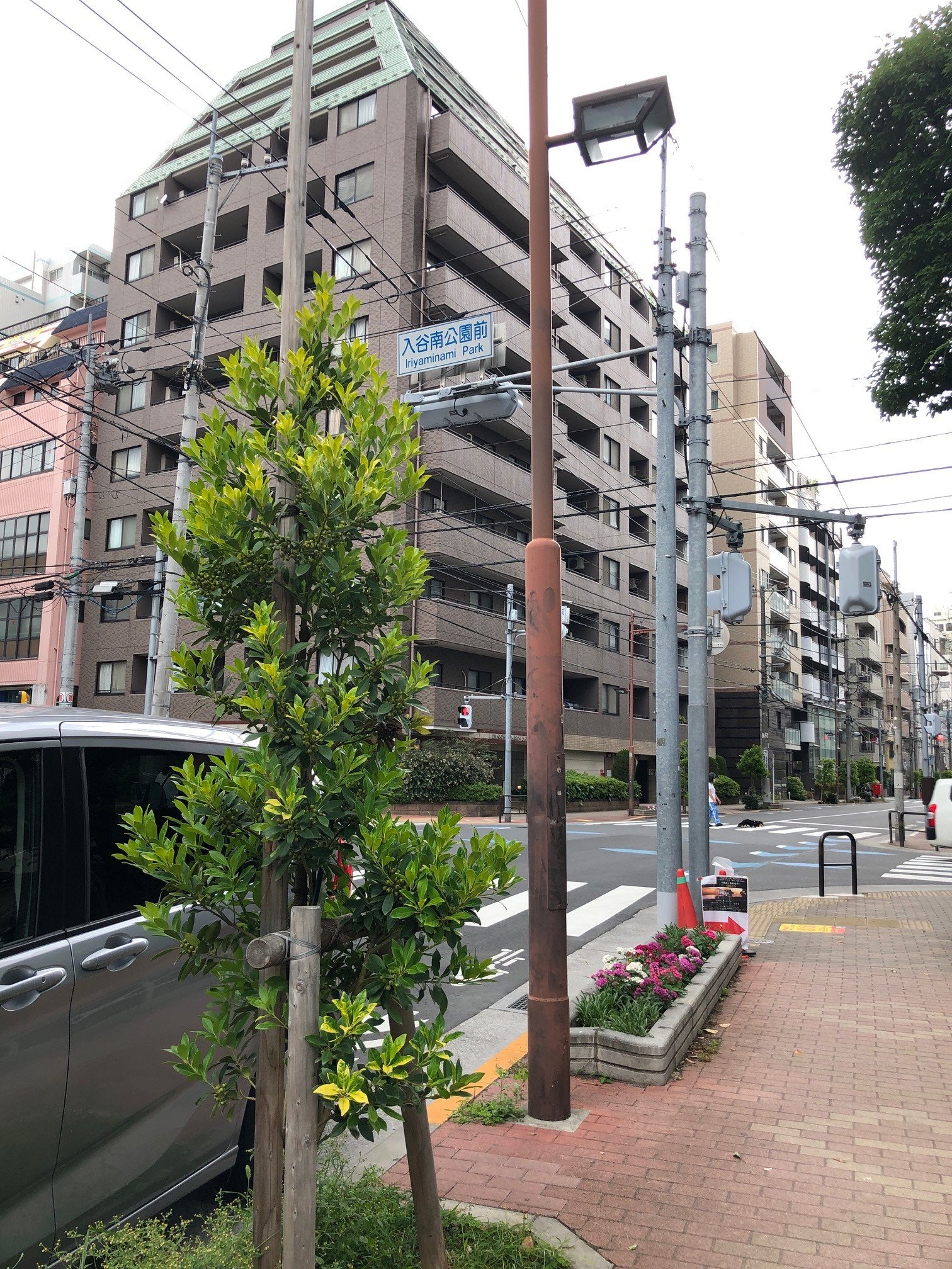 台東区公園課(Taito-Park) on X: 台東区公園課(Taito-Park) on X: