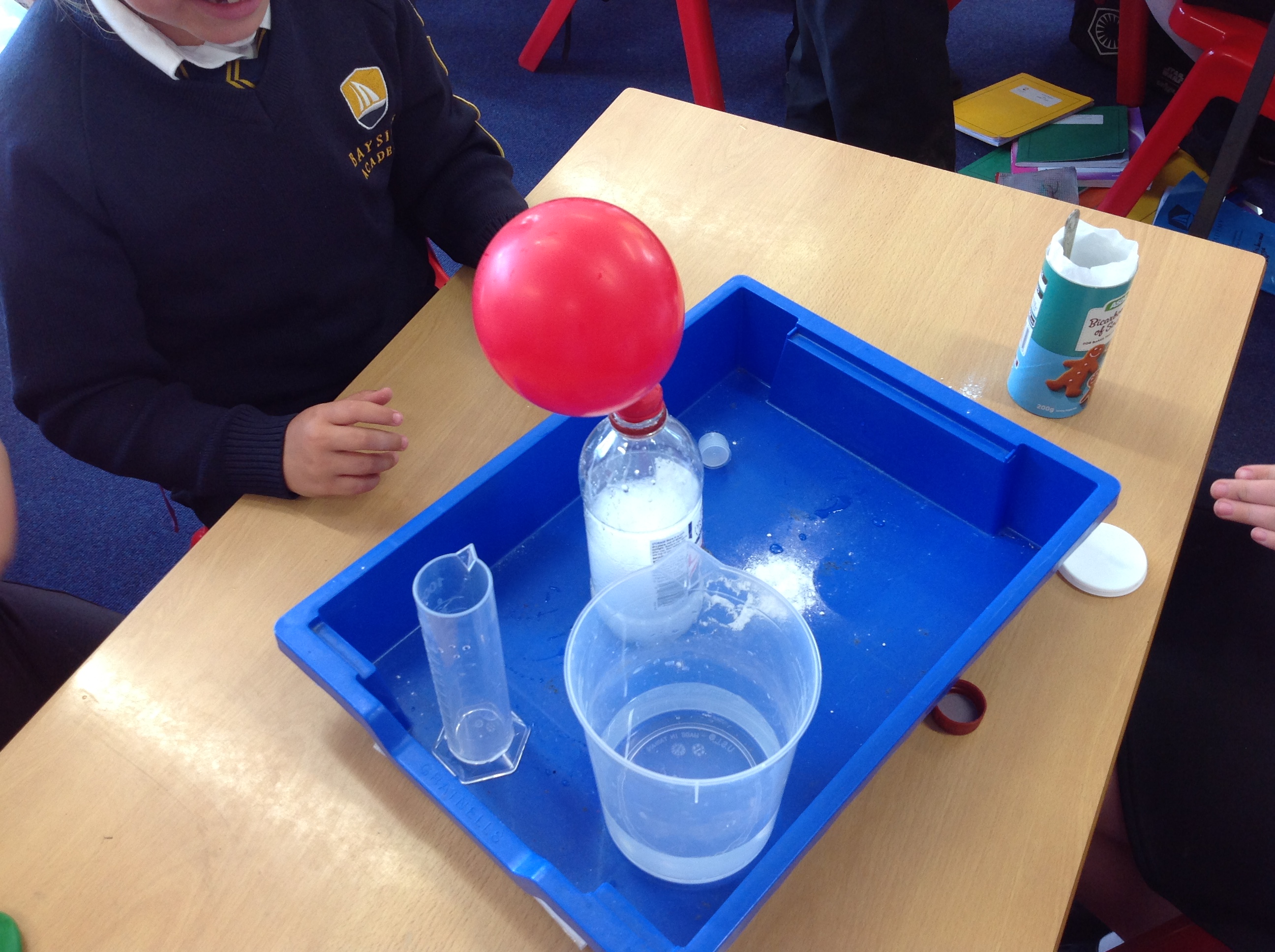 Bayside Academy on Twitter "Yesterday Year 4 were investigating what