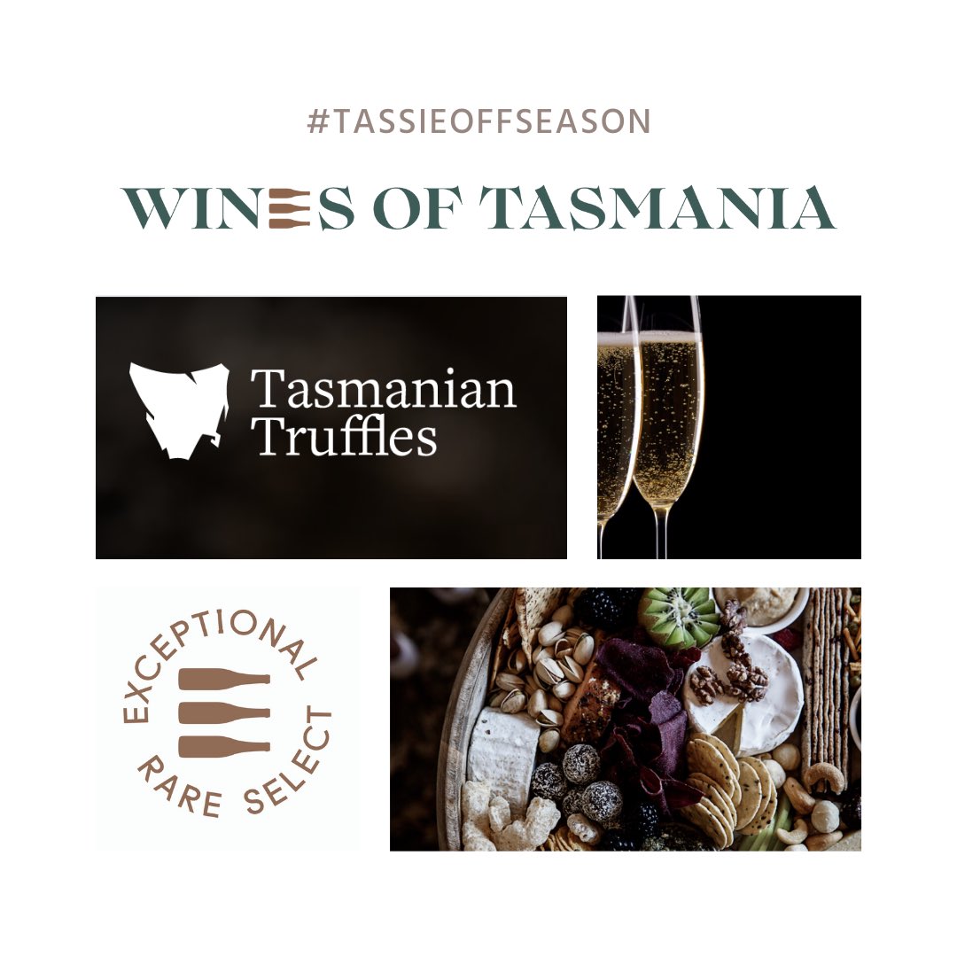 WinesofTas (@winesoftas) on Twitter photo We’ve partnered with <a href="/VintageTasmania/">Curly Haslam-Coates GC</a> & #Tasmanian Truffles to present 6 outstanding #SparklingWines from some of the best producers on our tiny island. Inside every box is a delightful truffle condiment. Yum! winesoftasmania.com.au/all/p/buy-truf… #tendaysoftruffles #tassieoffseason #Lockdown5 We’ve partnered with <a href="/VintageTasmania/">Curly Haslam-Coates GC</a> & #Tasmanian Truffles to present 6 outstanding #SparklingWines from some of the best producers on our tiny island. Inside every box is a delightful truffle condiment. Yum! winesoftasmania.com.au/all/p/buy-truf… #tendaysoftruffles #tassieoffseason #Lockdown5