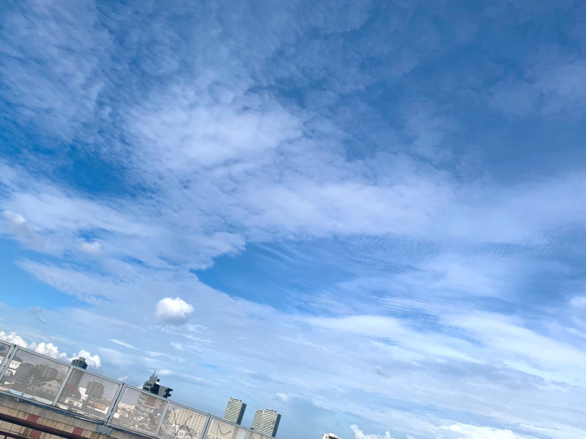 OSAN72699313's tweet photo. 今日の空と雲　
久し振りに綺麗なそらを撮りました😃📸
#空と雲 
#風景
 #カメラ好きな人と繋がりたい 
#東京カメラ
 #photography 
#月が好きな人たちと繋がりたい 
#ポートレート 
#iphoneXR https://t.co/ypvJnDEr61