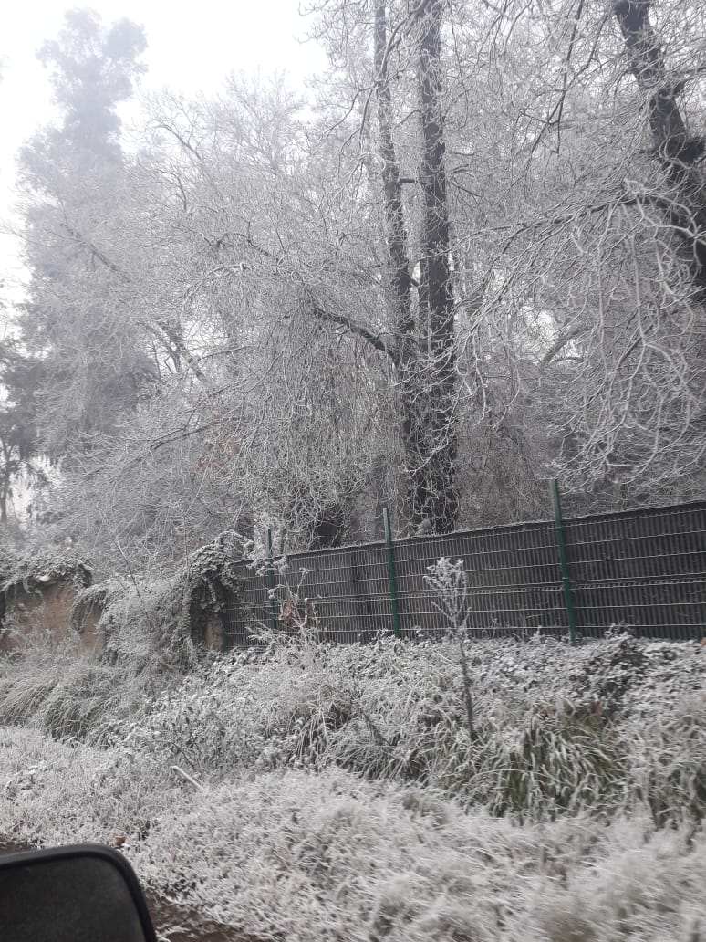 JorgReyes10's tweet photo. ❄️Cencellada presente en algunas localidades de la zona central
Temperaturas alrededor de 1 y -5°C en diferentes comunas
Localidad de #Apalta #Rengo #Ohiggins
📸Gracias por el meteoreporte #CamiloBahamondes https://t.co/iVUZEE41hA