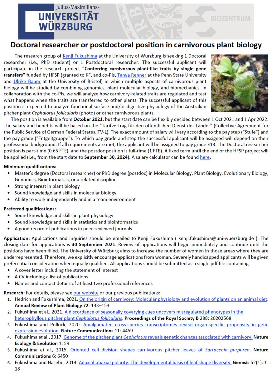 Kenji Fukushima (福島 健児) (@kfuku0502) on Twitter photo We are hiring a postdoc or a PhD student to join our group at the University of Würzburg! Teaming up with <a href="/RennerLab/">Renner Lab</a> and Ulrike Bauer to study the functional surface and digestive physiology of carnivorous plants. Any Qs, please get in touch!
dropbox.com/s/m0n1i9un16wu… We are hiring a postdoc or a PhD student to join our group at the University of Würzburg! Teaming up with <a href="/RennerLab/">Renner Lab</a> and Ulrike Bauer to study the functional surface and digestive physiology of carnivorous plants. Any Qs, please get in touch!
dropbox.com/s/m0n1i9un16wu…