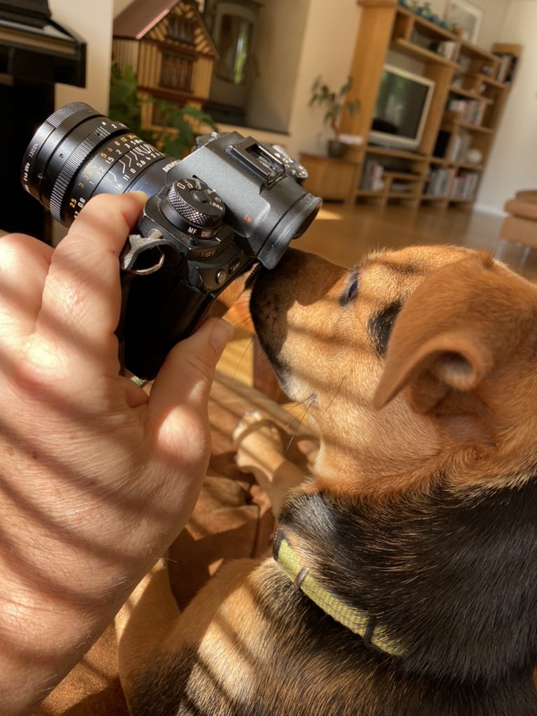 benedict campbell tweet media