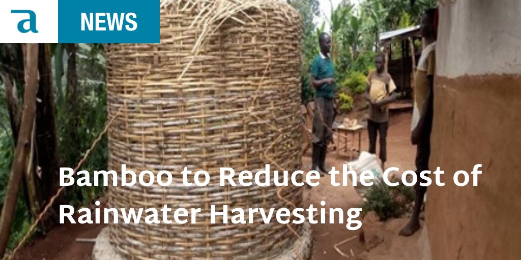 Through the GFF Project, Aidenvironment is piloting bamboo as the main structural material for rainwater harvesting tanks in coffee-growing communities in Uganda. The lower costs will enable farmers to collect more rainwater and prevent soil erosion. bit.ly/3ejIio0