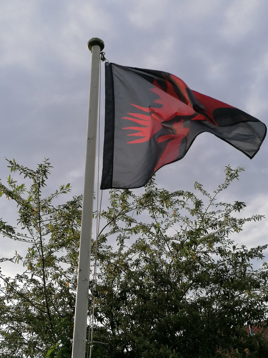 Bit of a flag thing going on at our rehearsals. I mean, everyone has a flag pole in their back garden right? #Morrisdance #steampunk #eastyorkshire