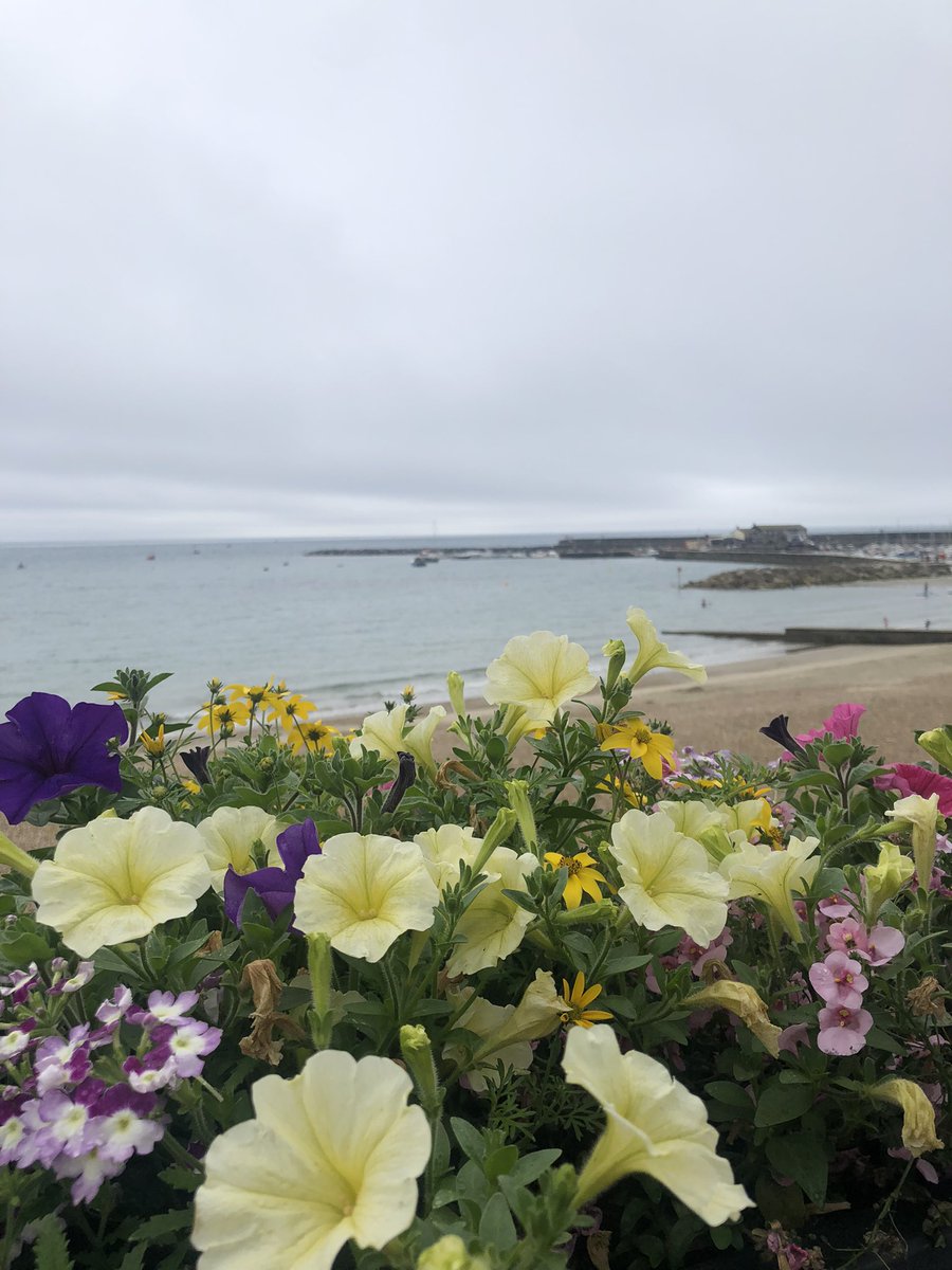 Pippibear's tweet photo. @Love_Lyme_Regis From our trip just over a week ago. 20 minutes later the sun smashed through those clouds #lovelymeregis https://t.co/3HC4gLcMHB