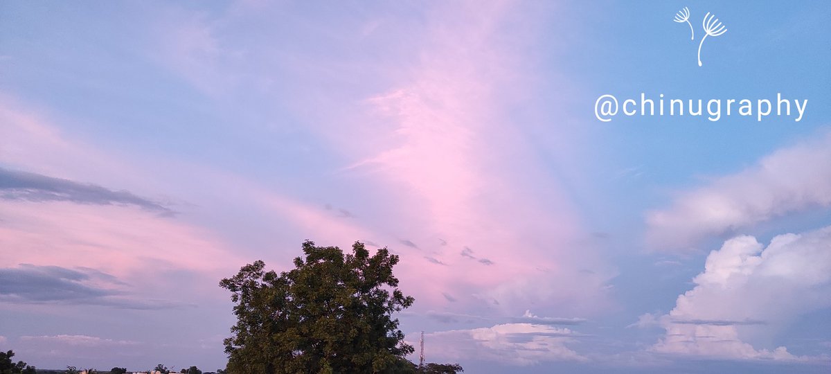 chinupanda_21's tweet photo. Amazing #Colorful_Sky #Random_Clicks #Mobile_Photography #Chinugraphy https://t.co/Oan1lhatfk