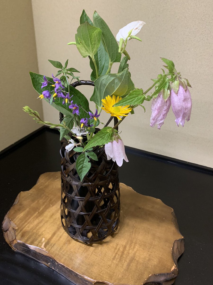 酪農学園大学茶道部 على تويتر ハンゲショウ 半夏生 半夏生の頃に花を咲かせることが名前の由来とされています 花言葉 は 内気 内に秘めた情熱 です